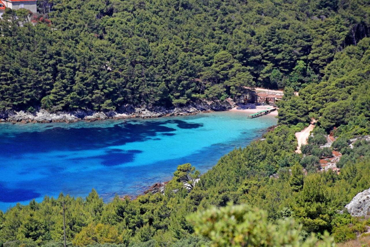 Apartments By The Sea Luka Dubrava, Peljesac - 4568 Janjina 外观 照片